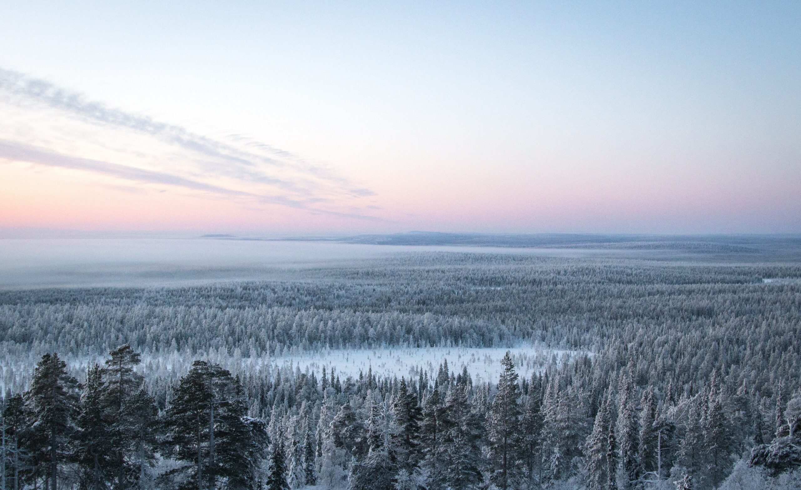 God jul och gott nytt år!